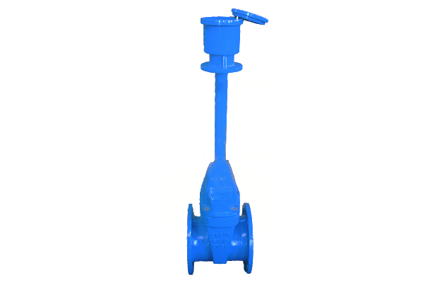 Extension Resilient Gate Valve PN16